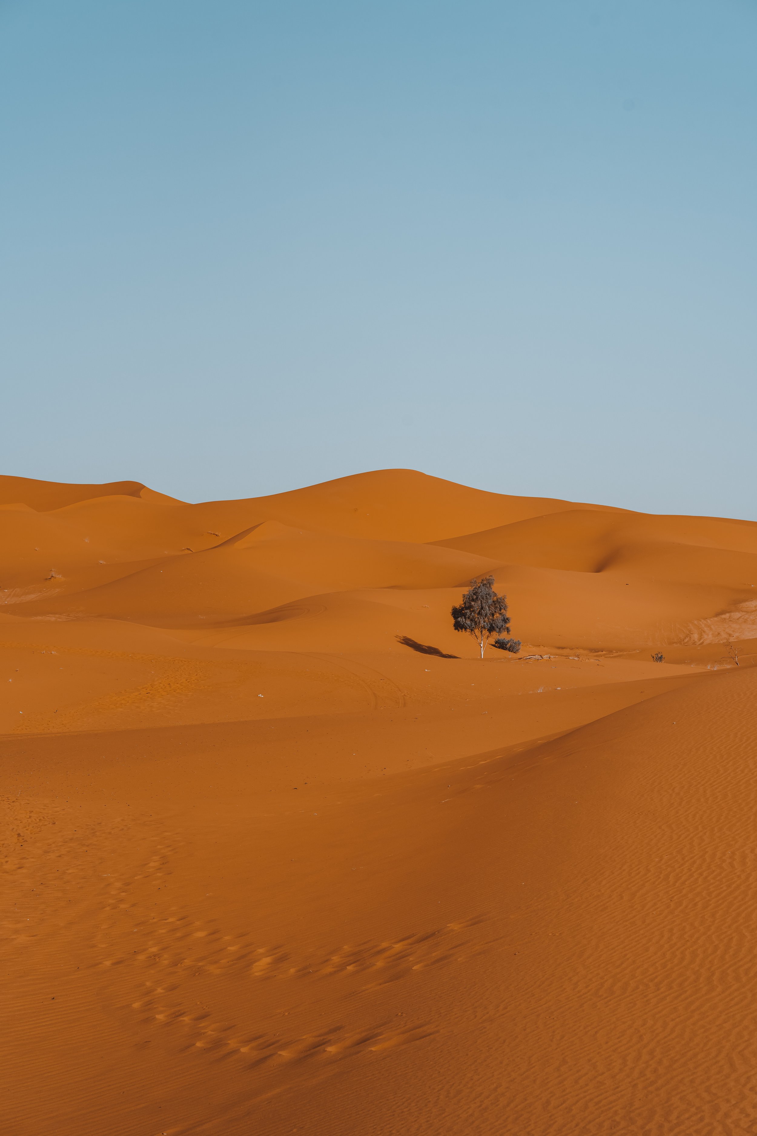 Our Daily Prayer for Wednesday - Timothy Murray Herger