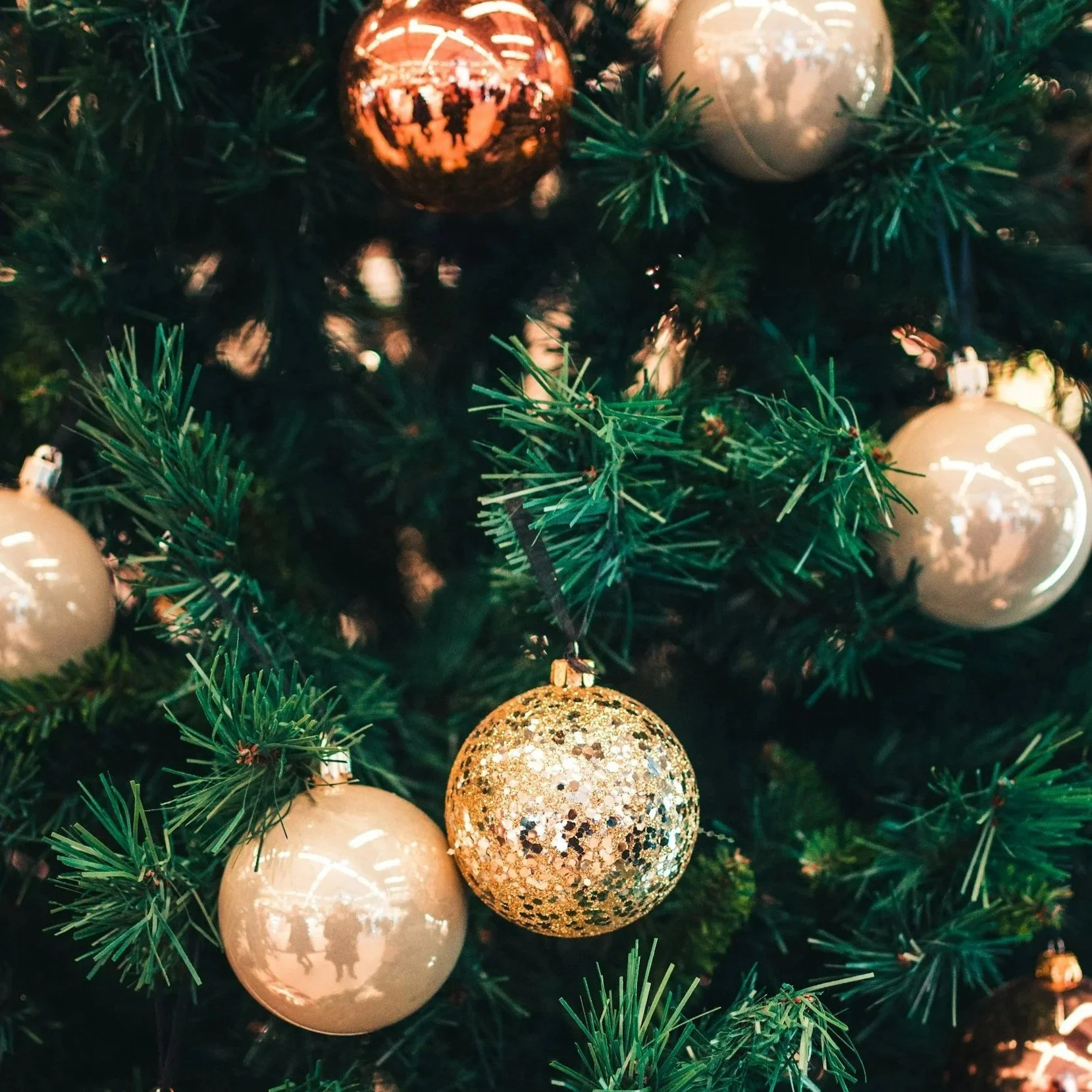 Christmas Luncheon &amp; Fundraiser 2025