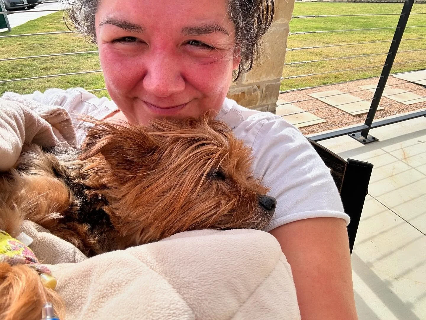 Truman had surgery on Monday to remove his spleen + a mass. He&rsquo;s slowly recovering and gets to come home today &mdash; his 13th birthday. I&rsquo;m so grateful for the love that he inspires and for the support of our communities. Thoughts, pray