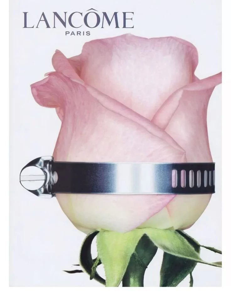 Beauty and Sustainability:  Is Lancôme our Model?