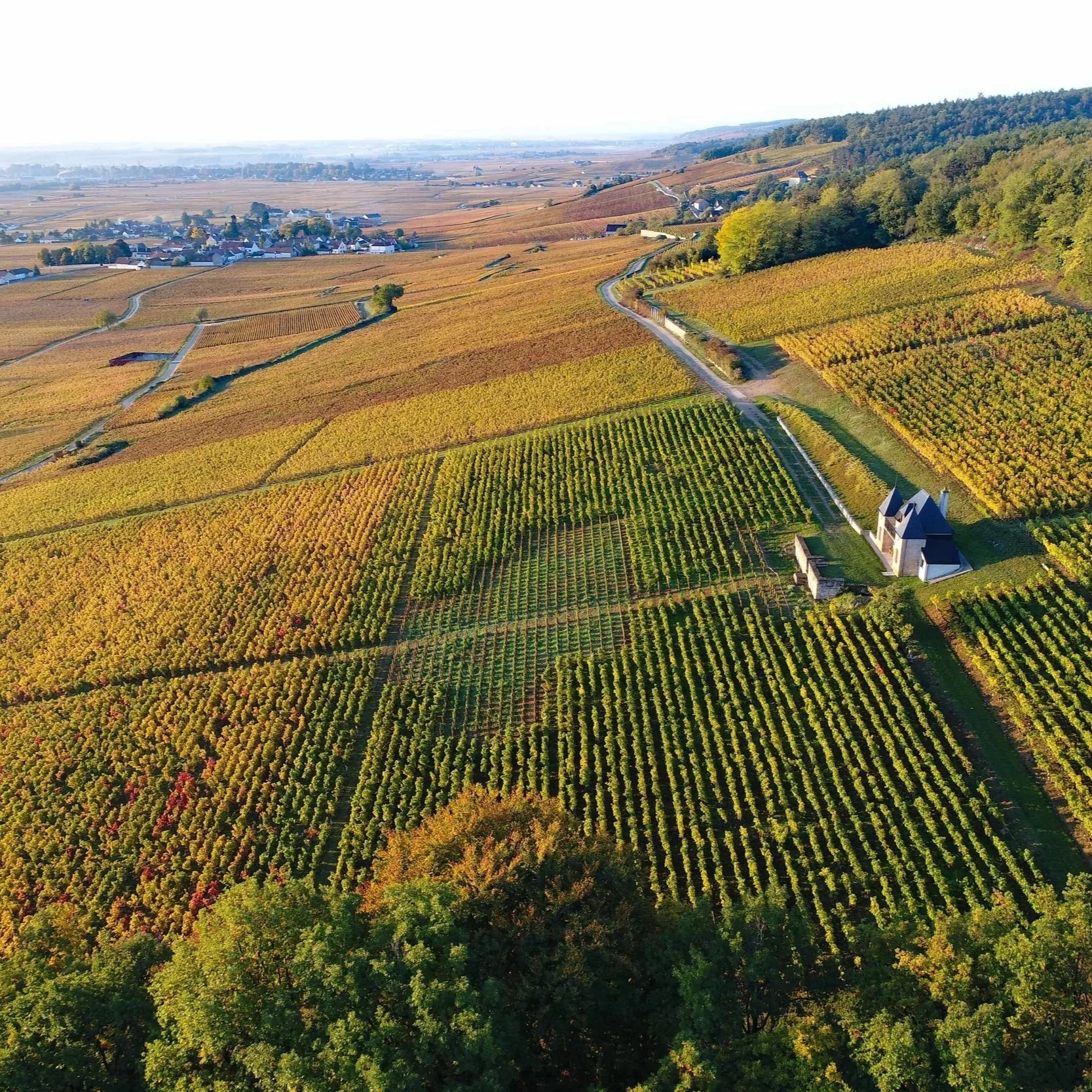 Burgundytrip.jpg (Copy)