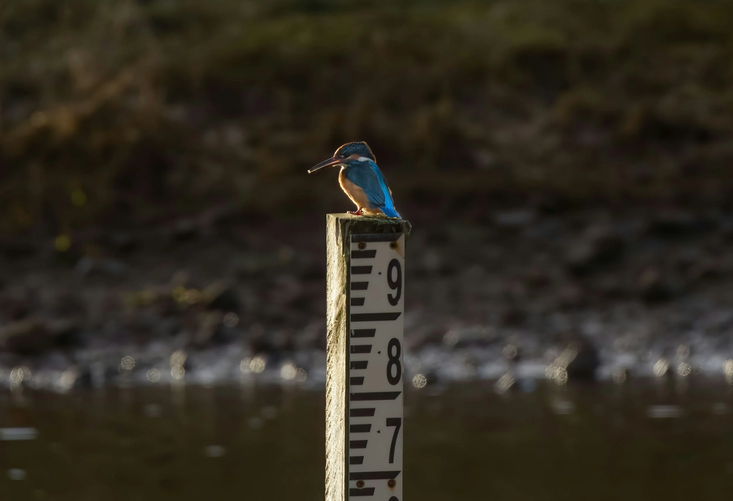 PR ACCOUNT MANAGER - ACCOUNT DIRECTOR LEVEL - PUBLIC SECTOR + MANUFACTURING + DEFENCE