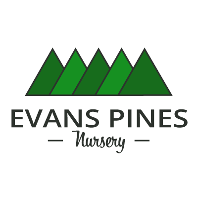 Evans Pines Nursery