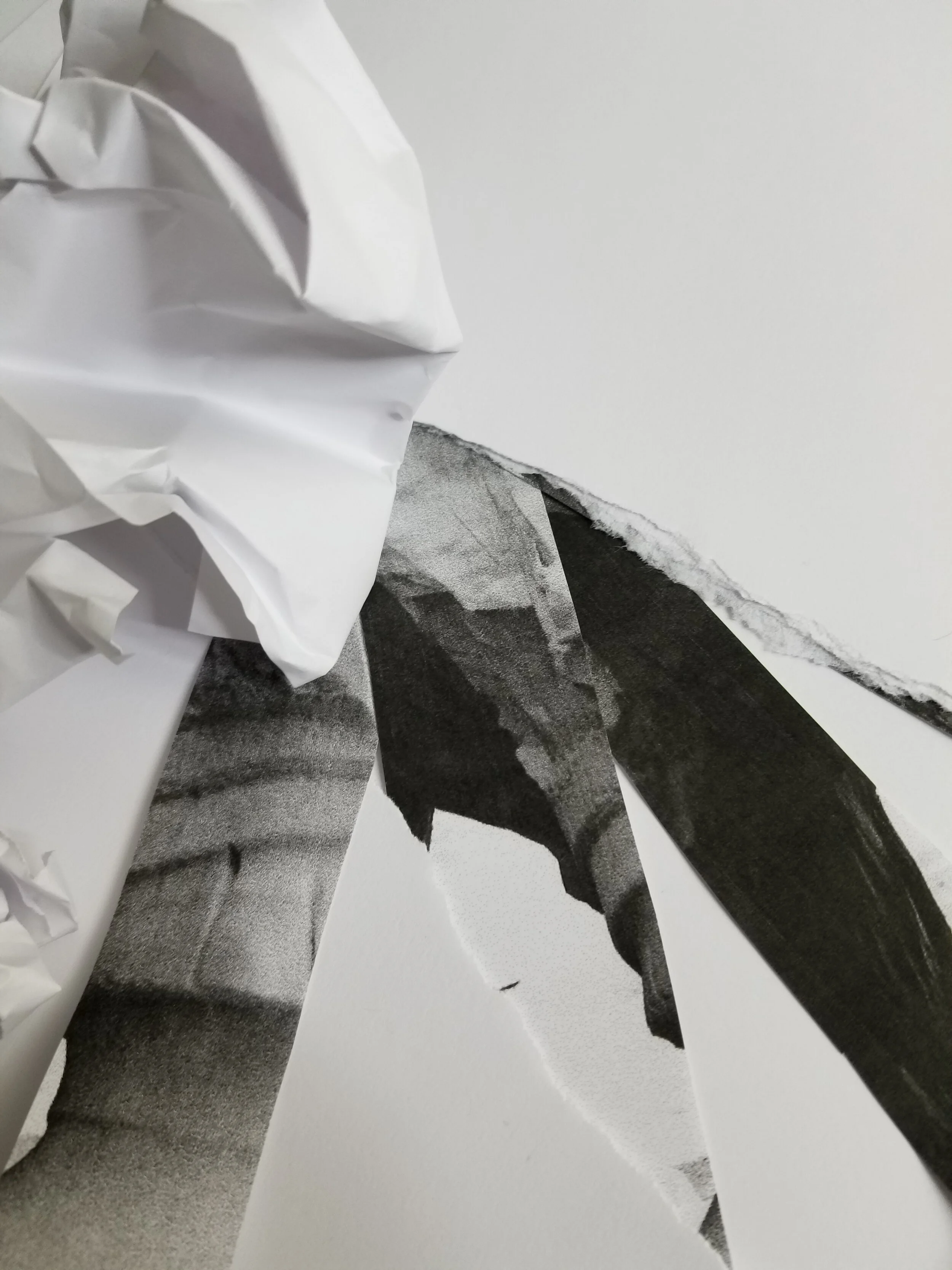 20190909_112334.jpg