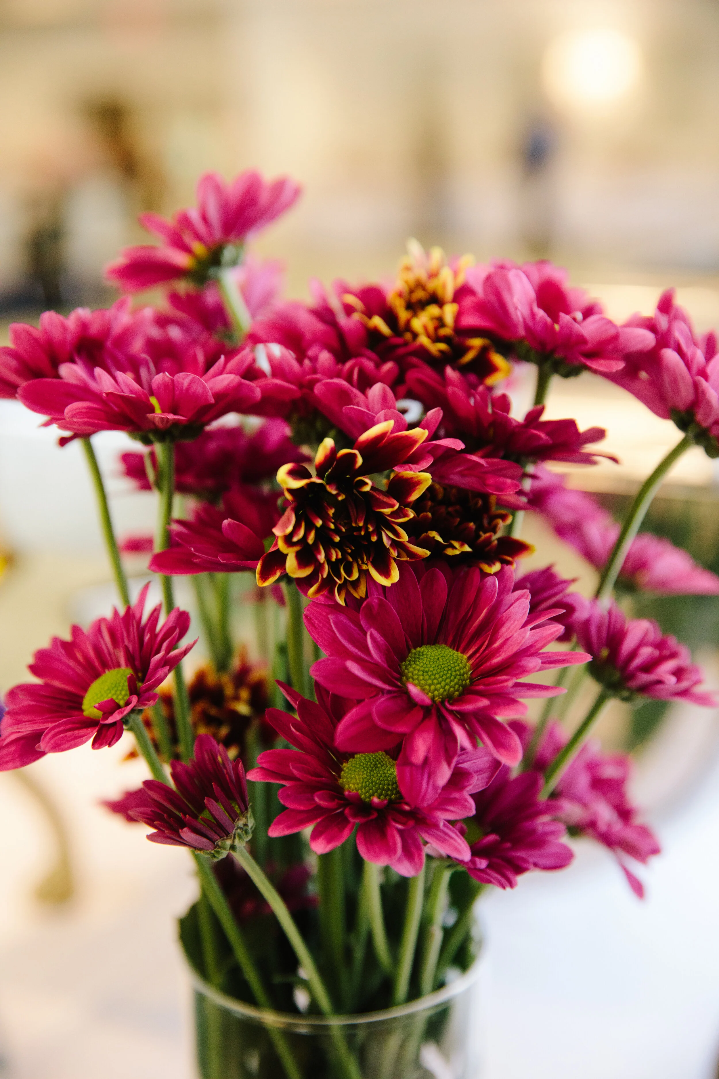 AngelaDatre_BristolClientBrunch_2018-68.jpg