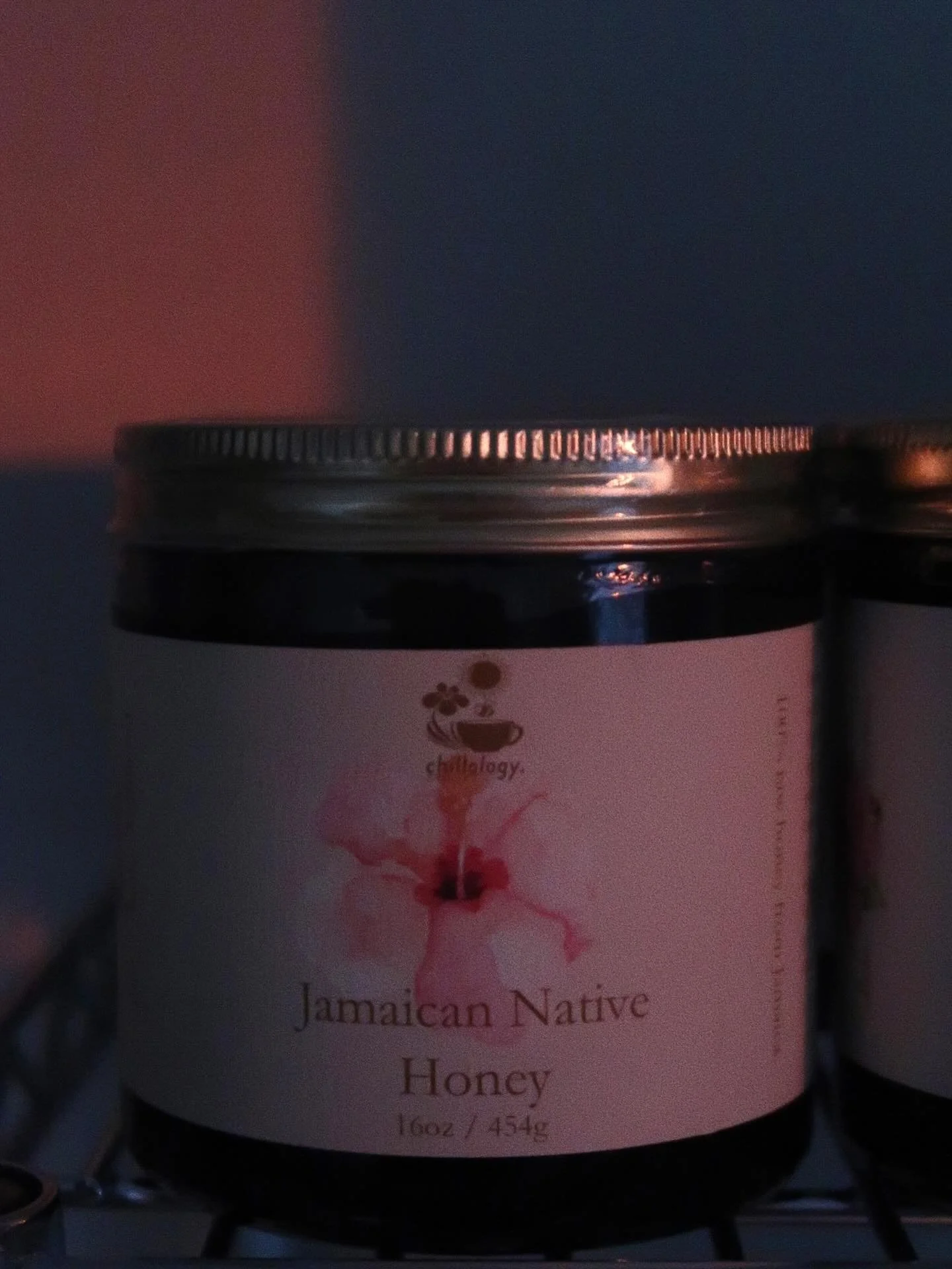 Up with the morning&rsquo;s sun ☀️ 🐝