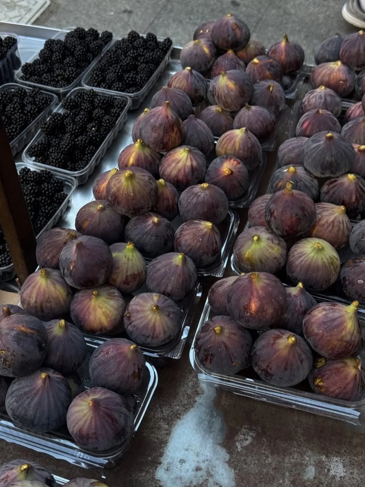 Anticipate Fig making a comeback in 2026 in a small batch of one of my most loved candles; &ldquo;dimanche&rdquo; (which translates to &ldquo;Sunday&rdquo; in French).

Having the subtle sweet notes of Fig Tree and the crisp, tart and bitter scent of