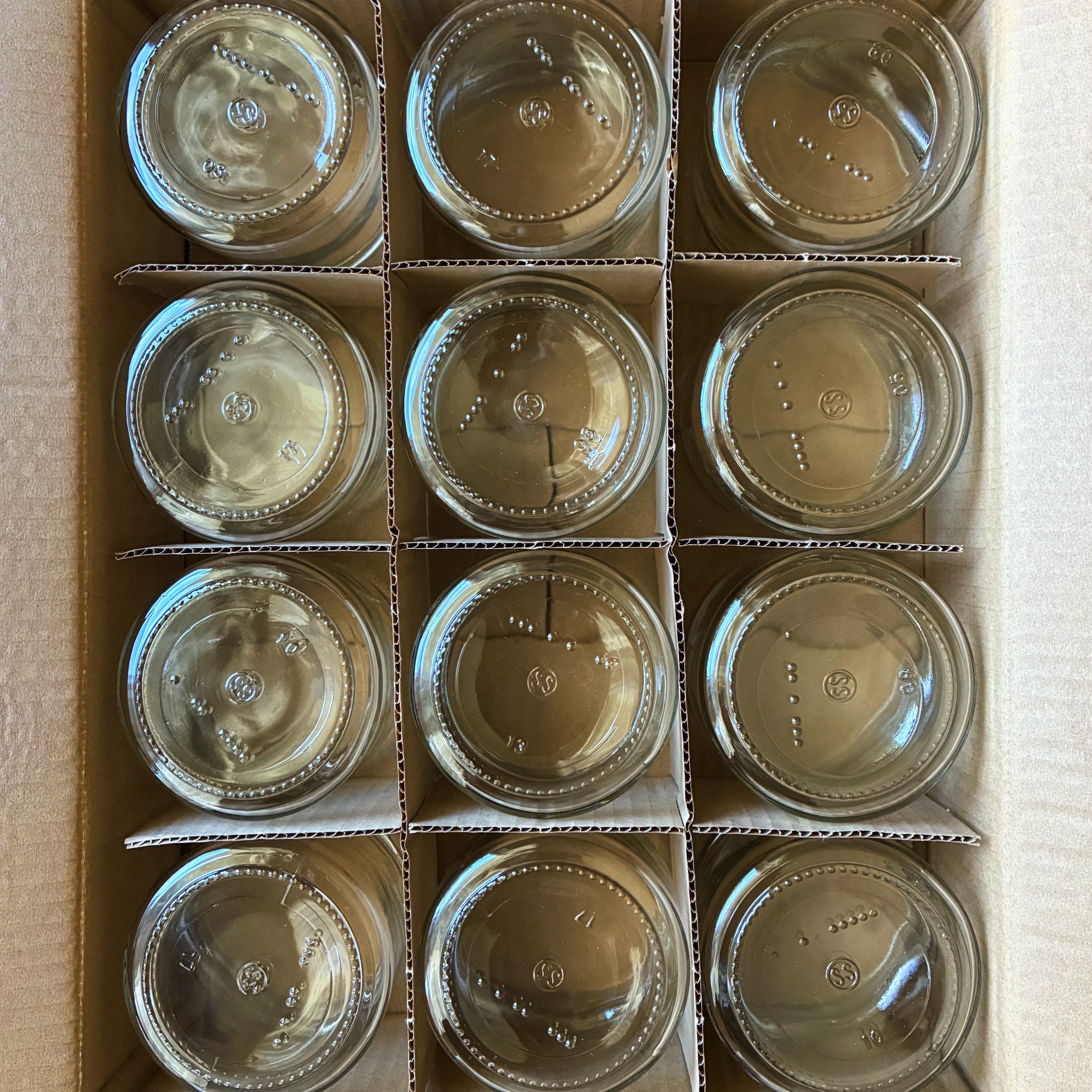Ready! 🍯 🐝 🌻