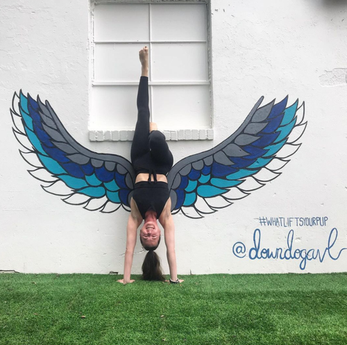 Inversion Workshop with instructor Renee - $35