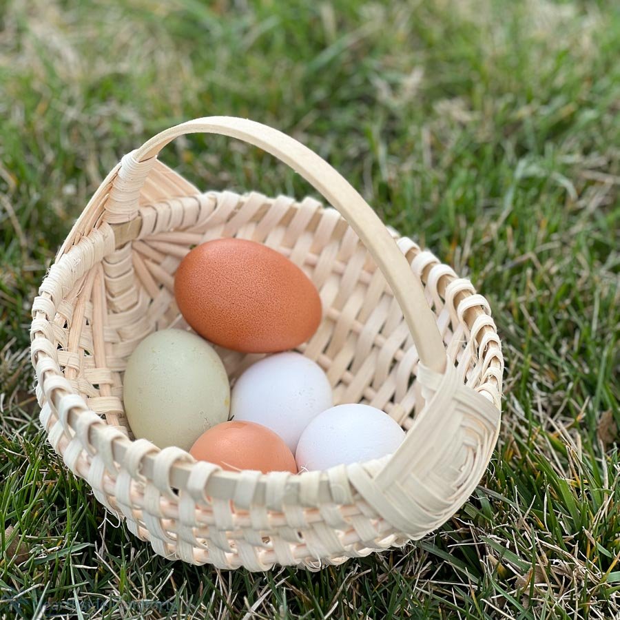 Making_Melon_Baskets-2.jpg