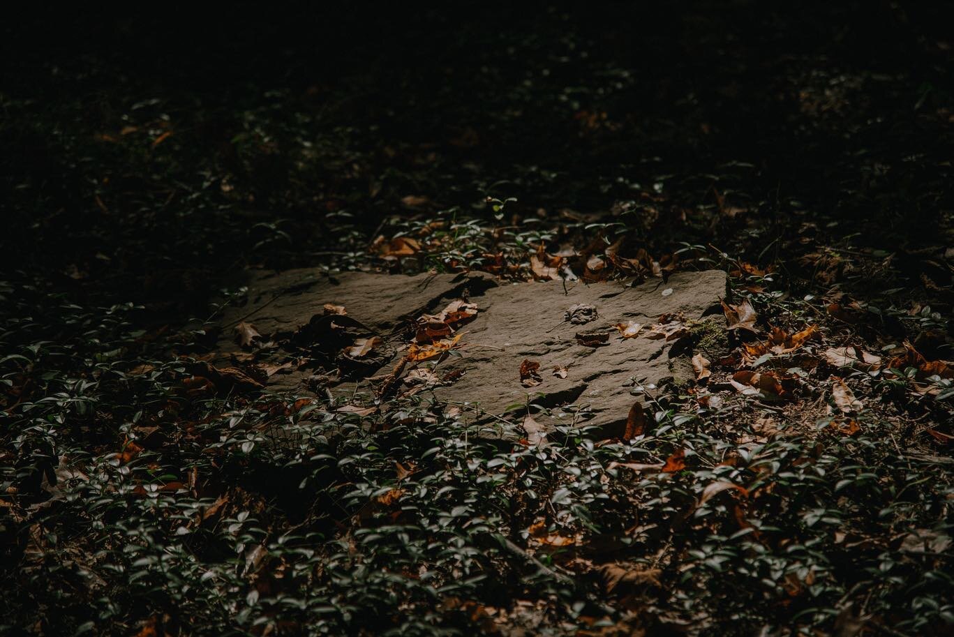 The abandoned Hopkins Chapel cemetery in Linbrook Woodlands Conservation Area.  Located northwest of Pittsburgh in the Franklin Park borough.