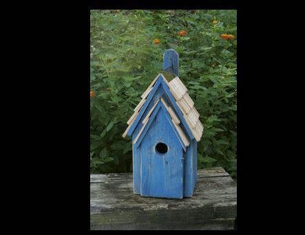 Bluebird Manor 5.JPG