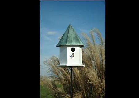 Copper Songbird Deluxe 2.JPG