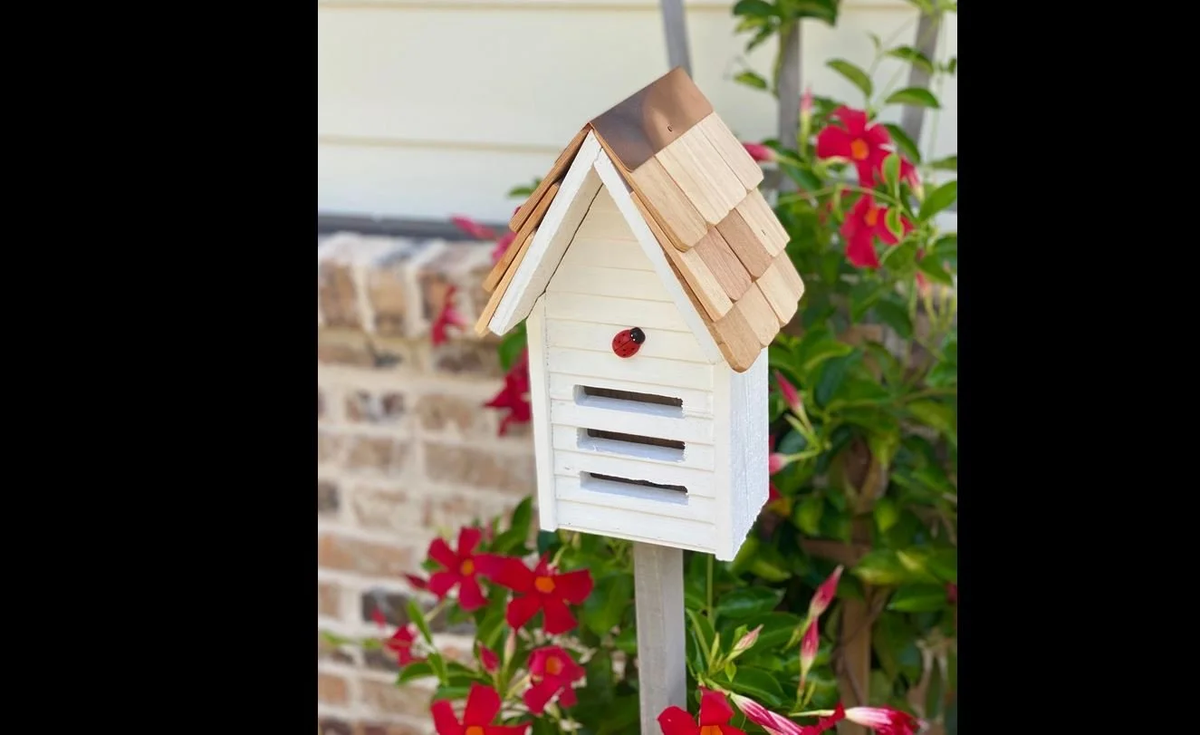 lady bug loft 4.JPG