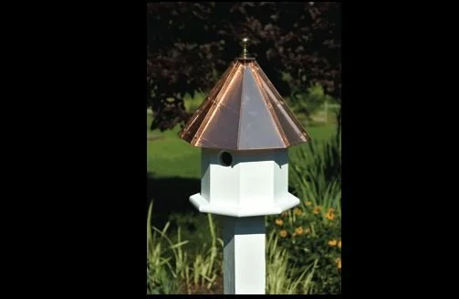 Oct-Avian Birdhouse 1.JPG