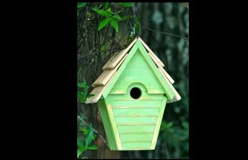 wren in the wind 2.JPG