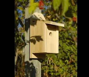 Chickadee Joy Box