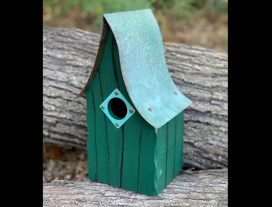 shady shed 3.JPG