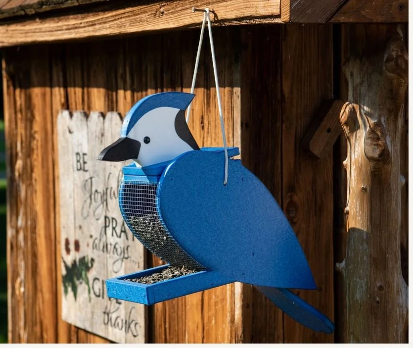 blue jay poly feeder 3.JPG