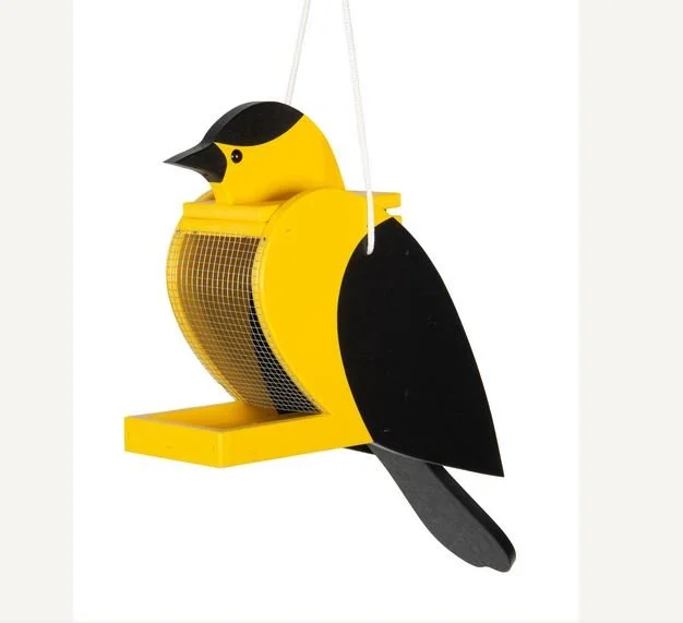 Finch poly 1.JPG
