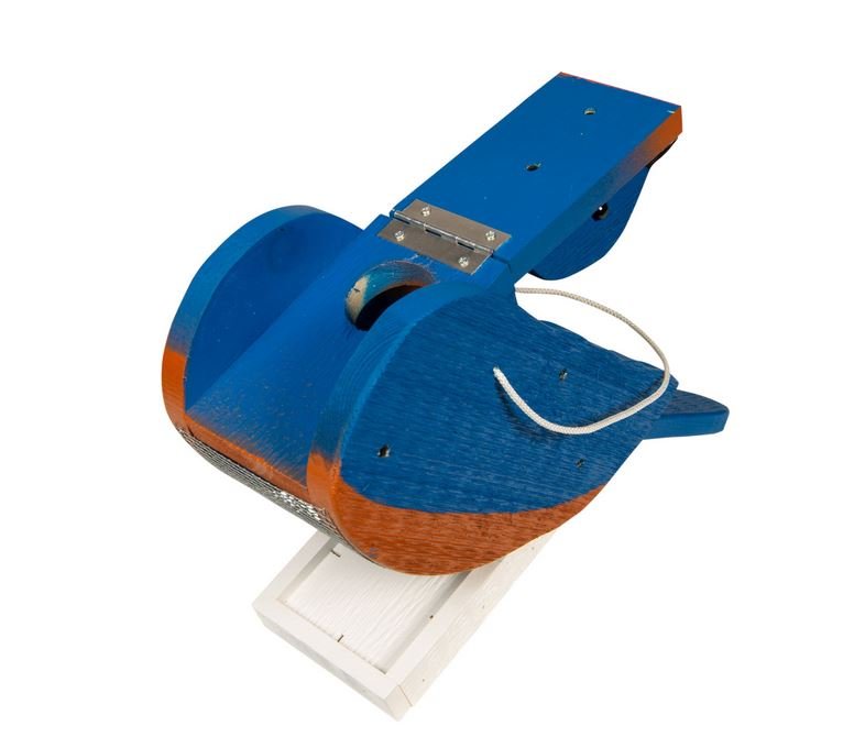 bluebird wood 2.JPG