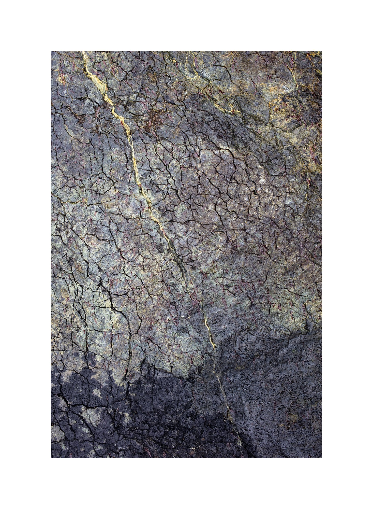 6V4A1302.2023.01.10.Ver01.Serpentine Gold I.web.border.jpg