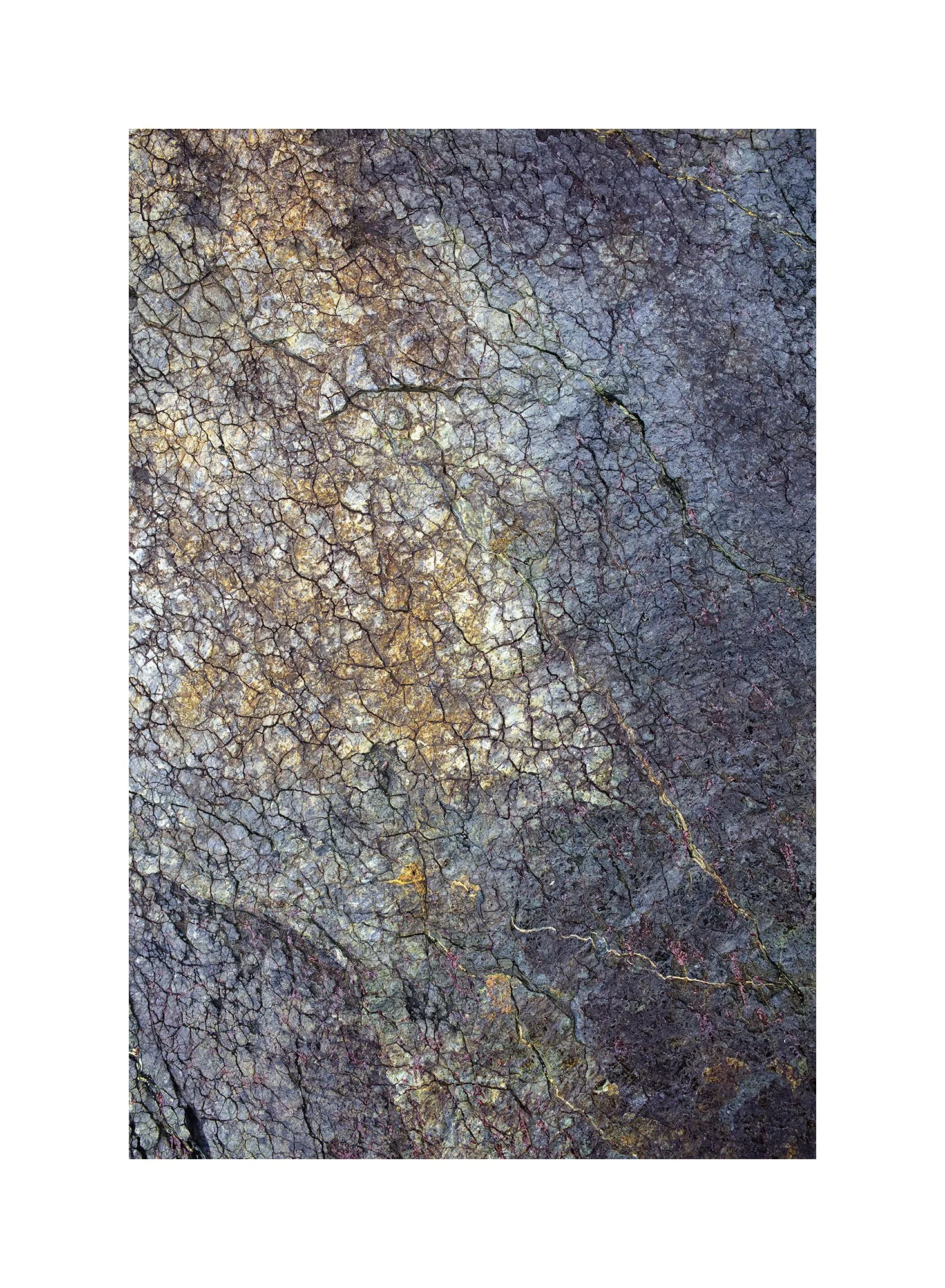 6V4A1304.2023.01.10.Ver01.Serpentine Gold II.web.border.jpg