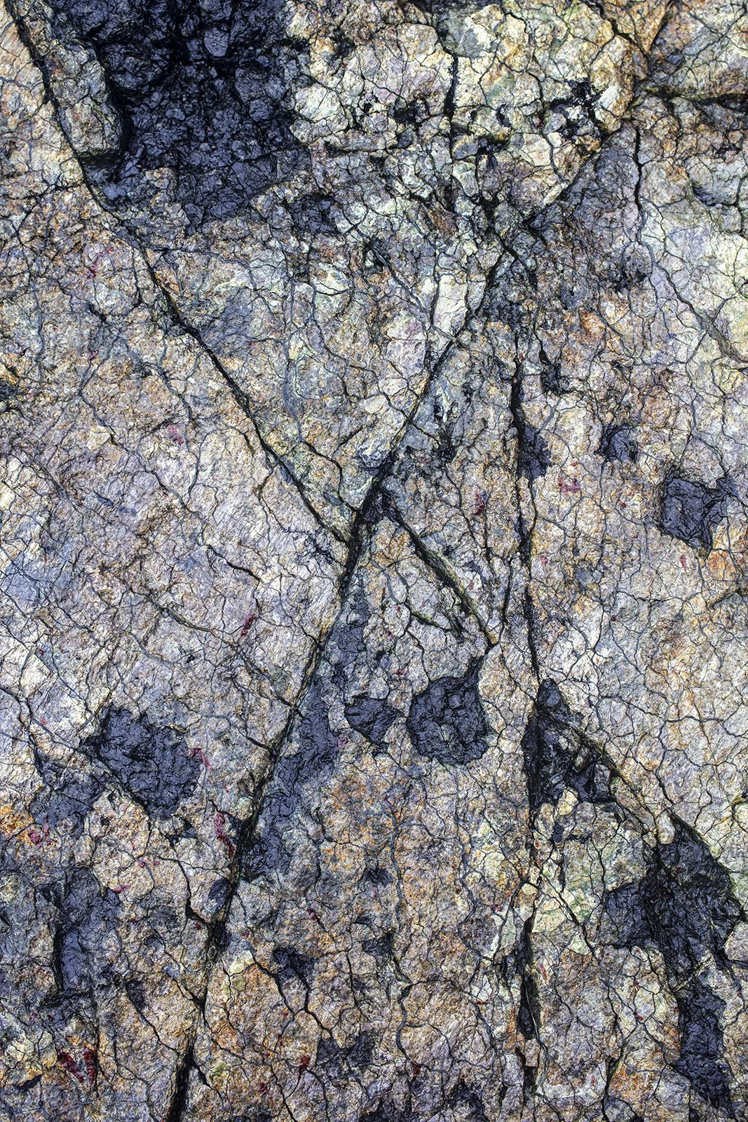 6V4A1307.2023.01.10.Ver02.Serpentine Fault I.web.jpg