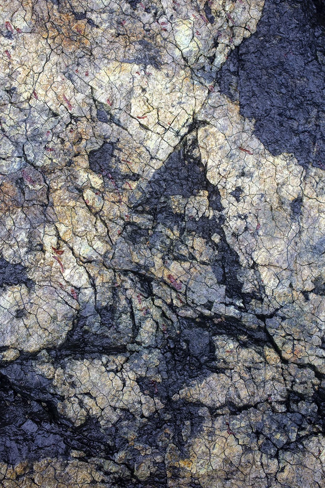 6V4A1308.2023.01.10.Ver02.Serpentine Fault II.web.jpg
