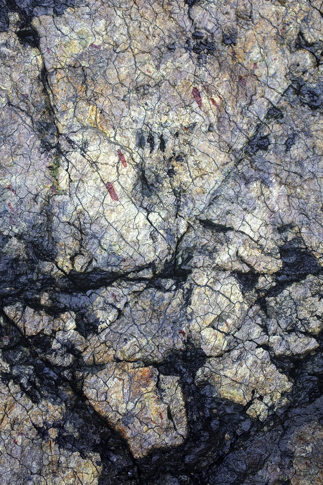 6V4A1305.2023.01.10.Ver02.Serpentine Fault III.web.jpg