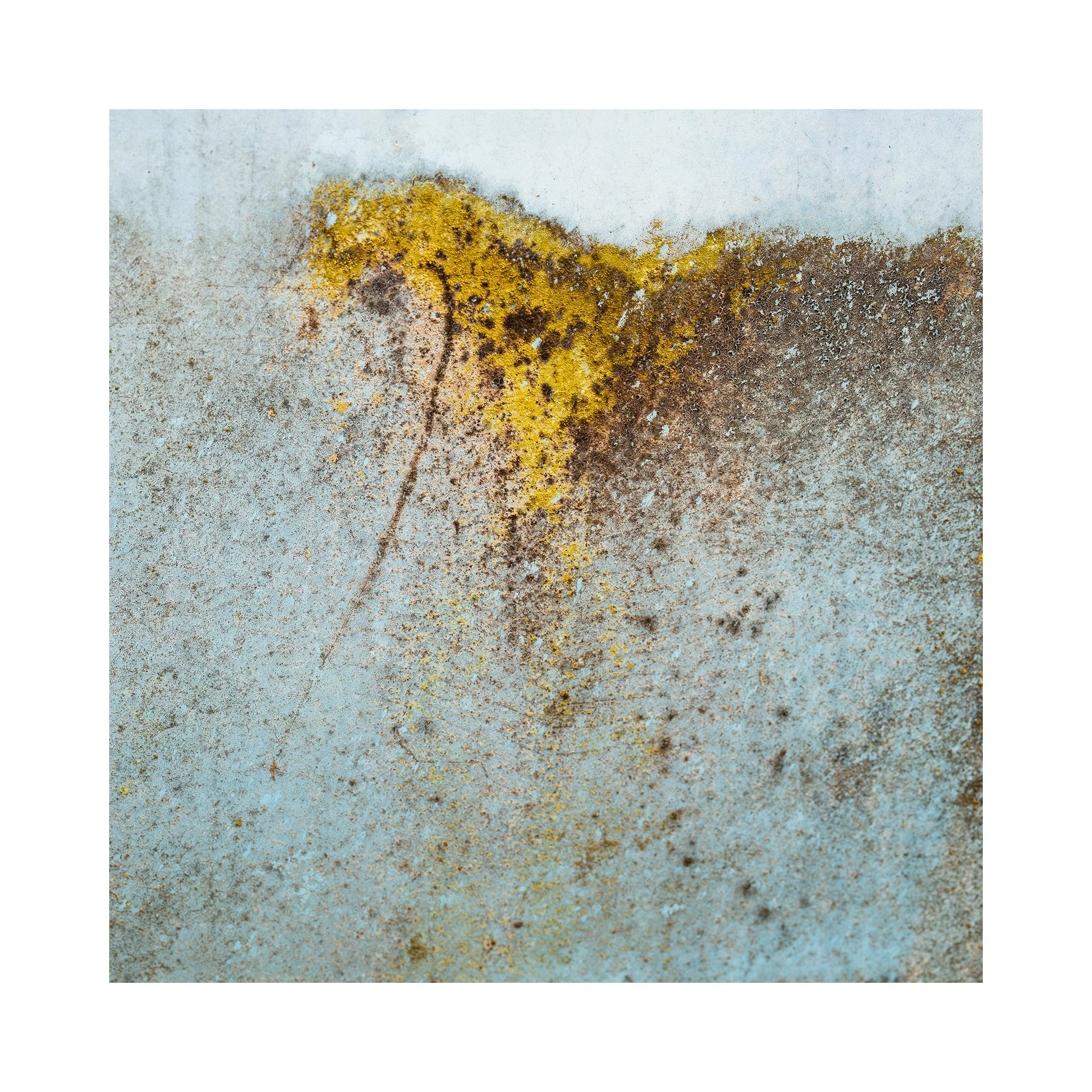 6V4A9807.2022.10.12.Ver01.Uphill Horse Abstract.border.web.jpg
