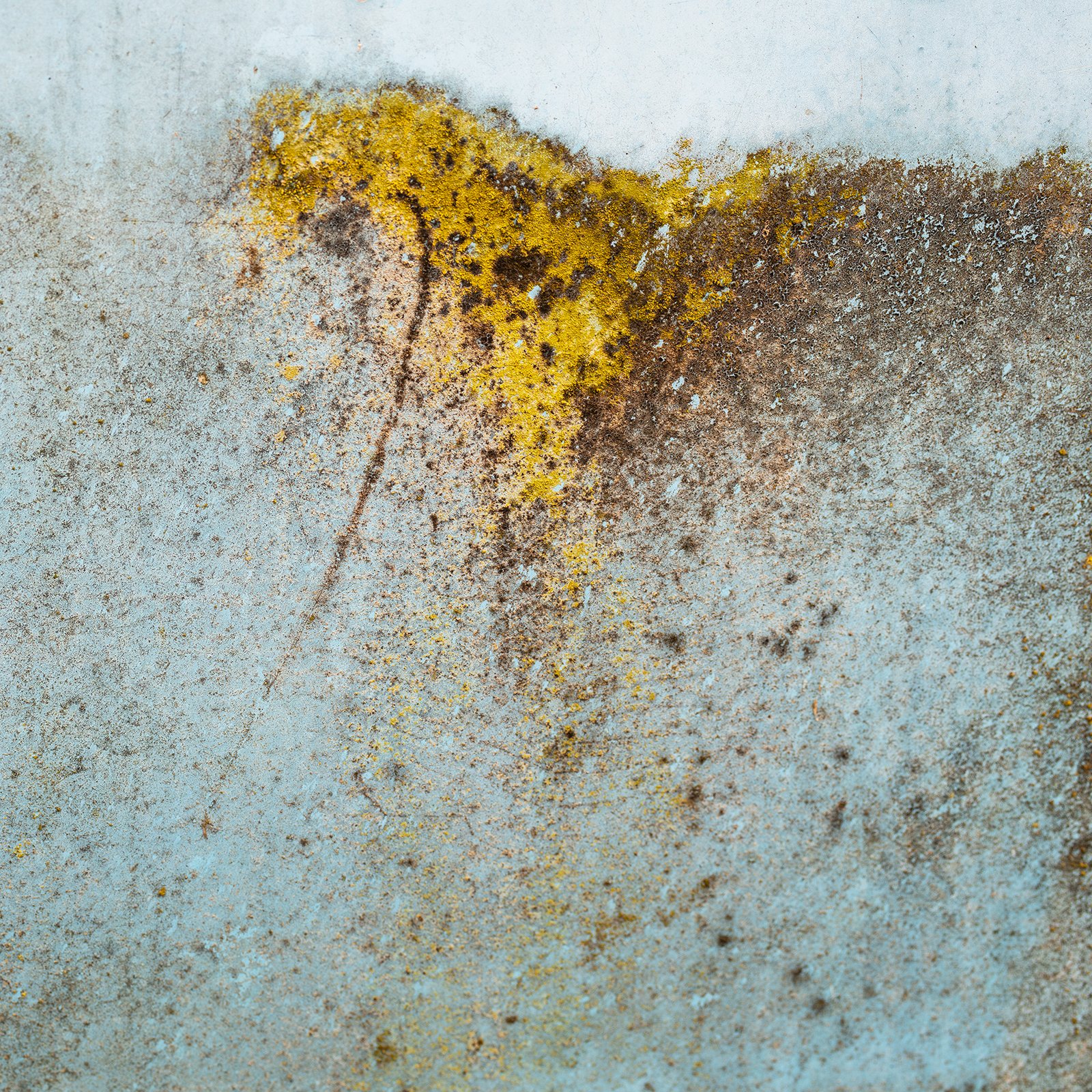 6V4A9807.2022.10.12.Ver01.Uphill Horse Abstract.web.jpg