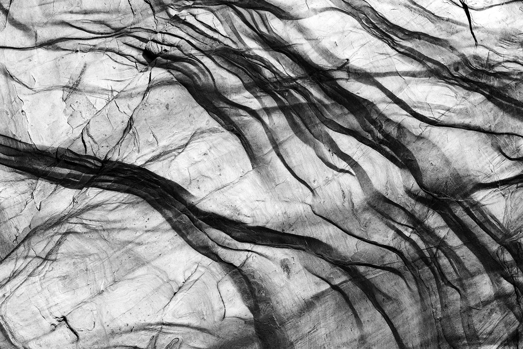 6V4A4799.2022.06.08.Ayrmer V.web.jpg