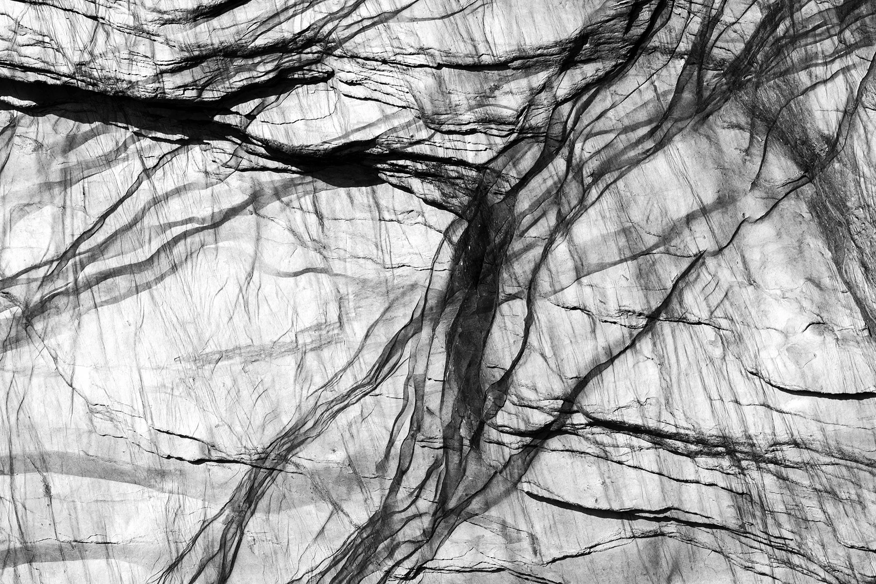 6V4A4820.2022.06.08.Ayrmer IV.web.jpg