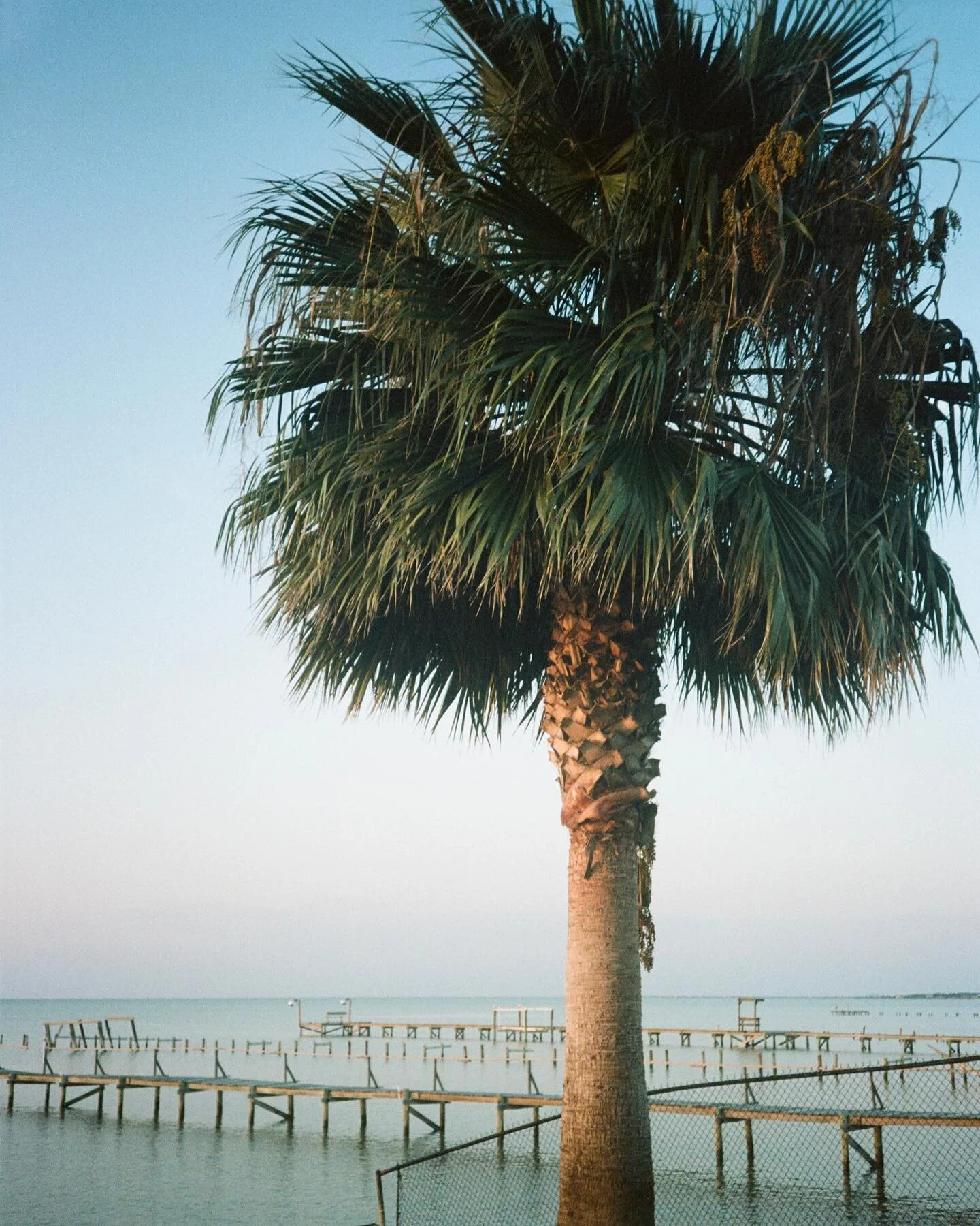 Rockport in the AM ☀️🌴 If you&rsquo;re from Central Texas, you know that Rockport/Port A is -locally- where it&rsquo;s at 🌊 

I&rsquo;m from San Antonio, and we grew up vacationing with our extended family in Port Aransas at the Aransas Princess. T