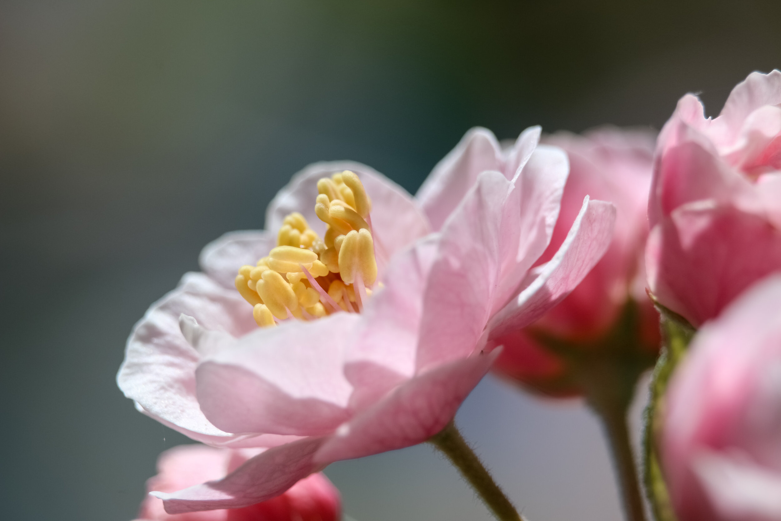 IMG_3877-LR1.jpg