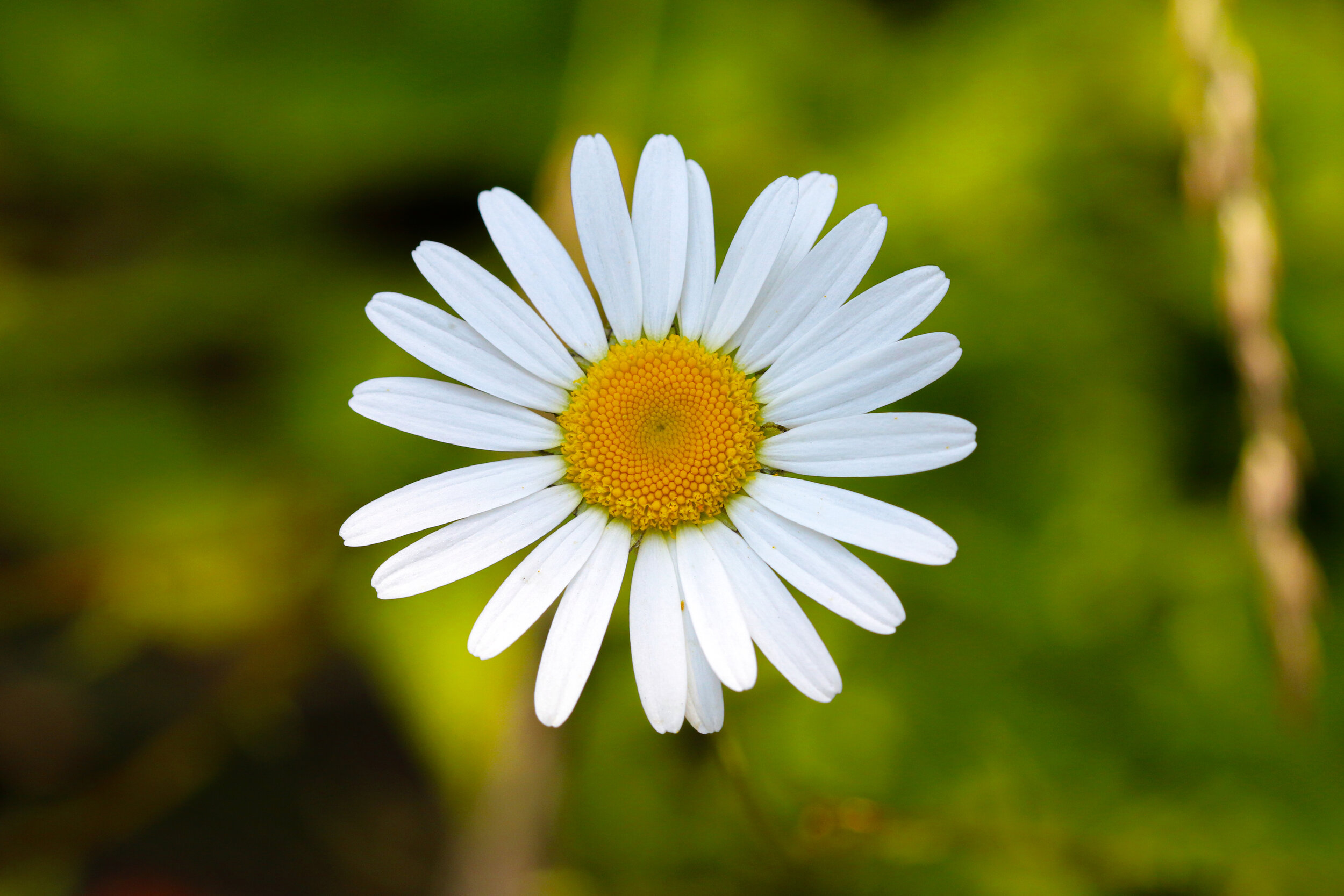 IMG_5920-LR1.jpg