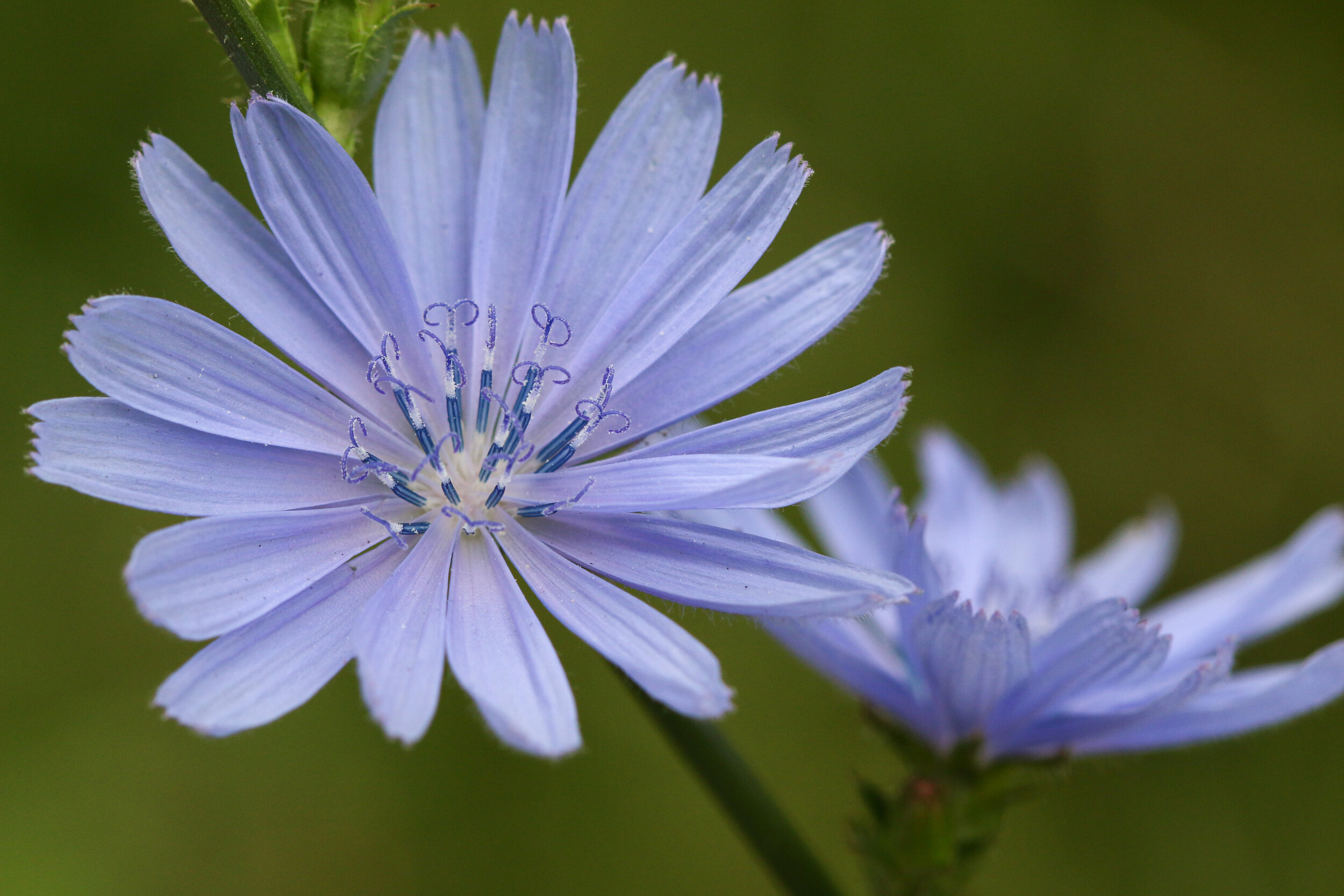 IMG_6286-LR1.jpg