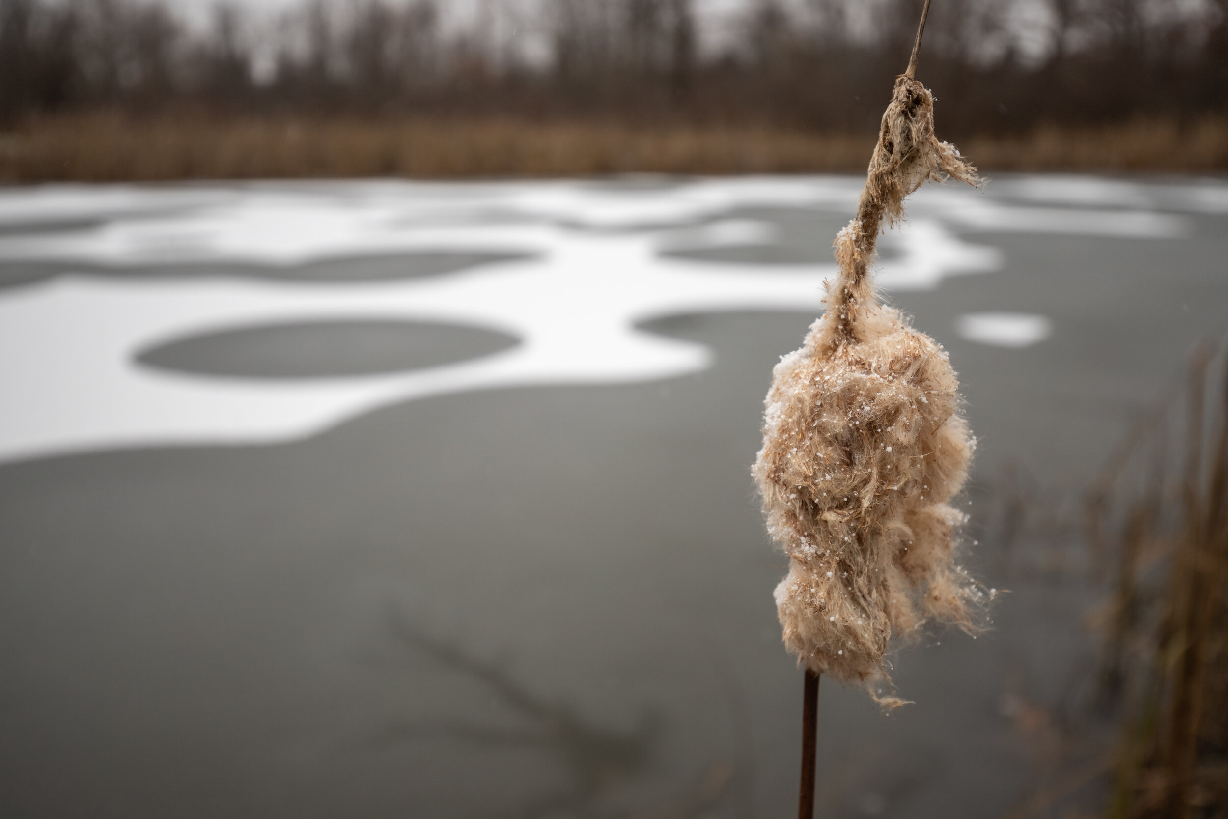 IMG_7054-LR1-LR1.jpg