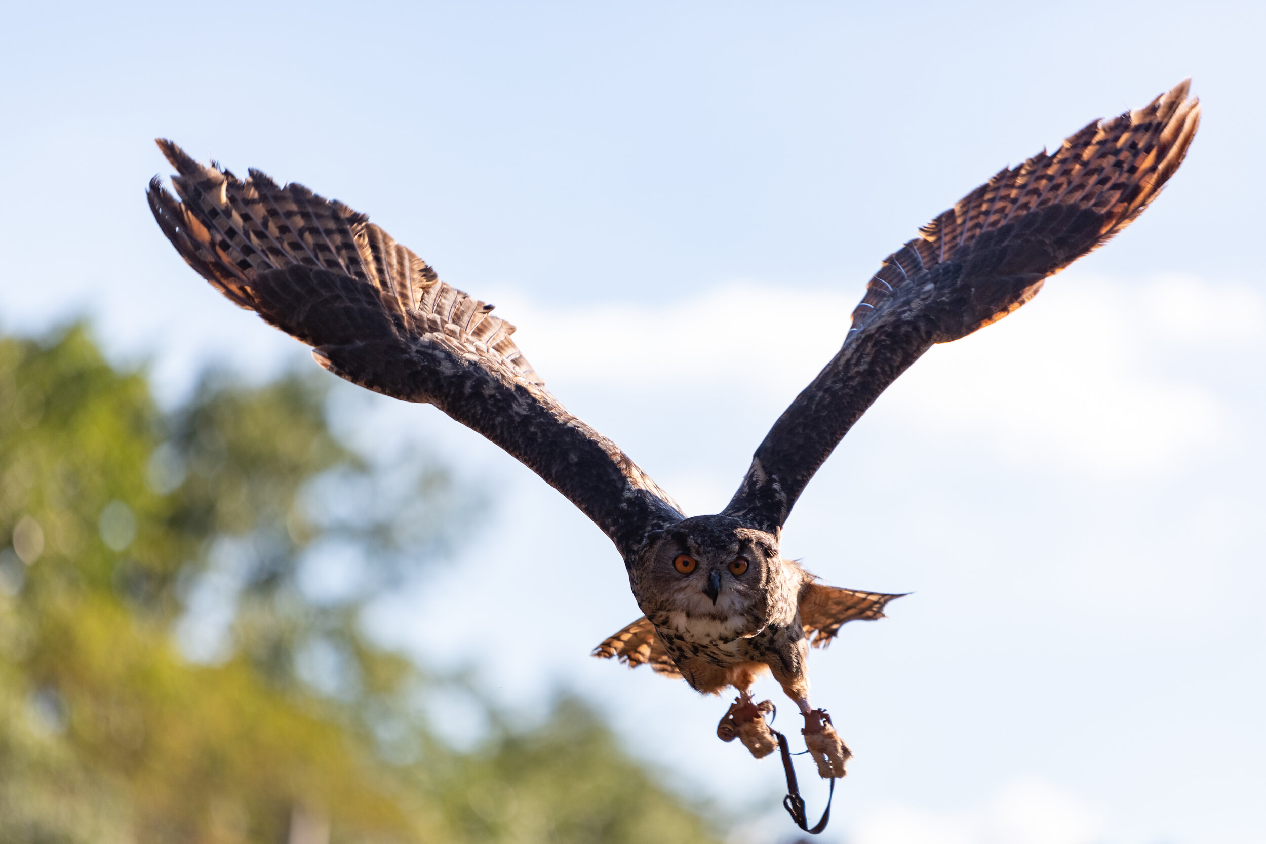 6M3A7156-LR1-LR1.jpg