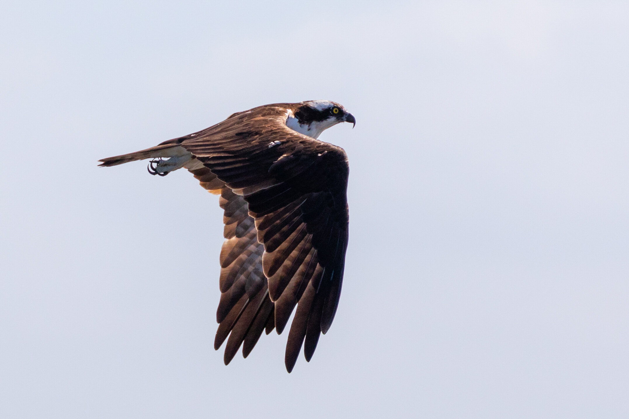 6M4A9475-LR1-LR1.jpg