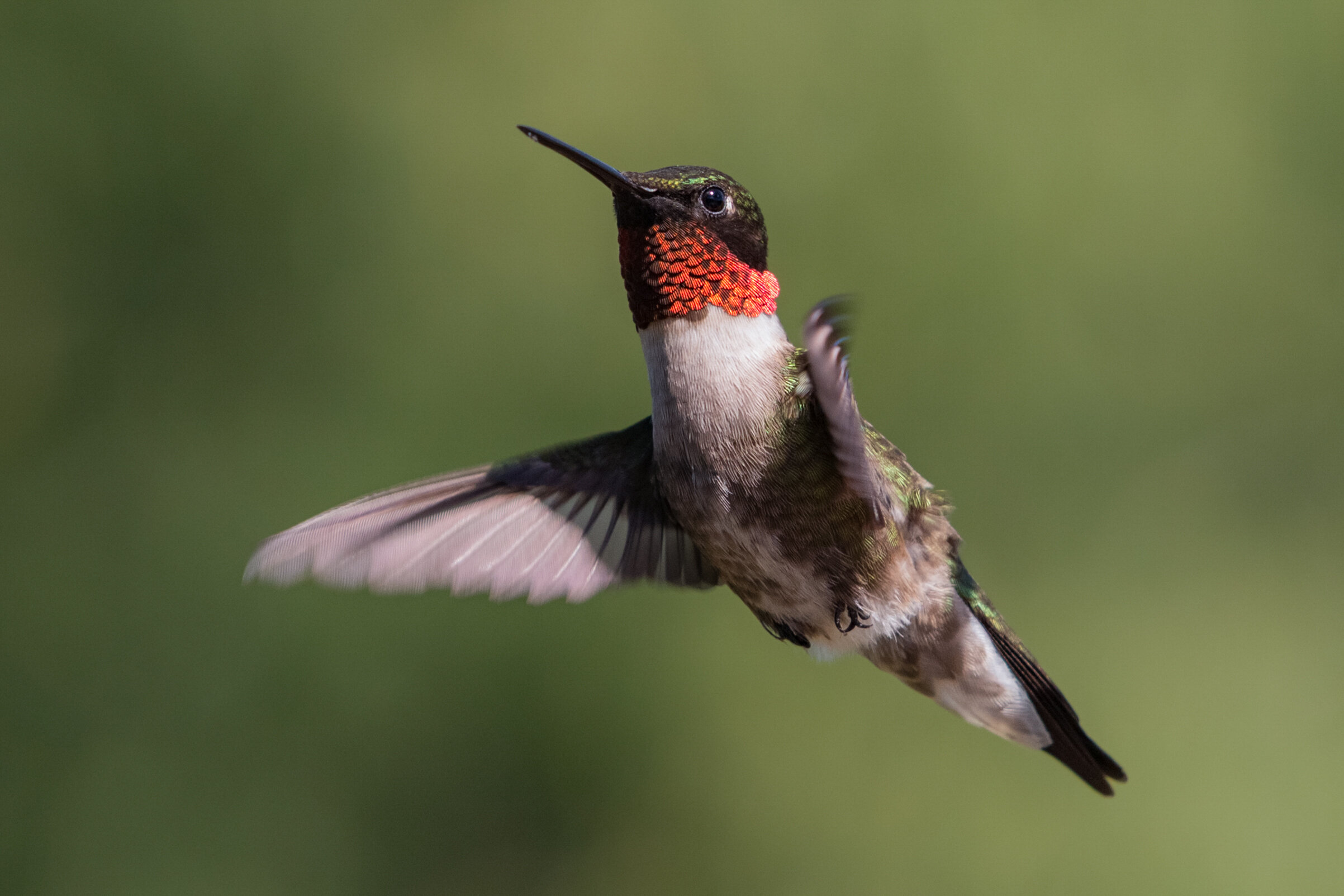 IMG_0300 LR1-2-LR1.jpg