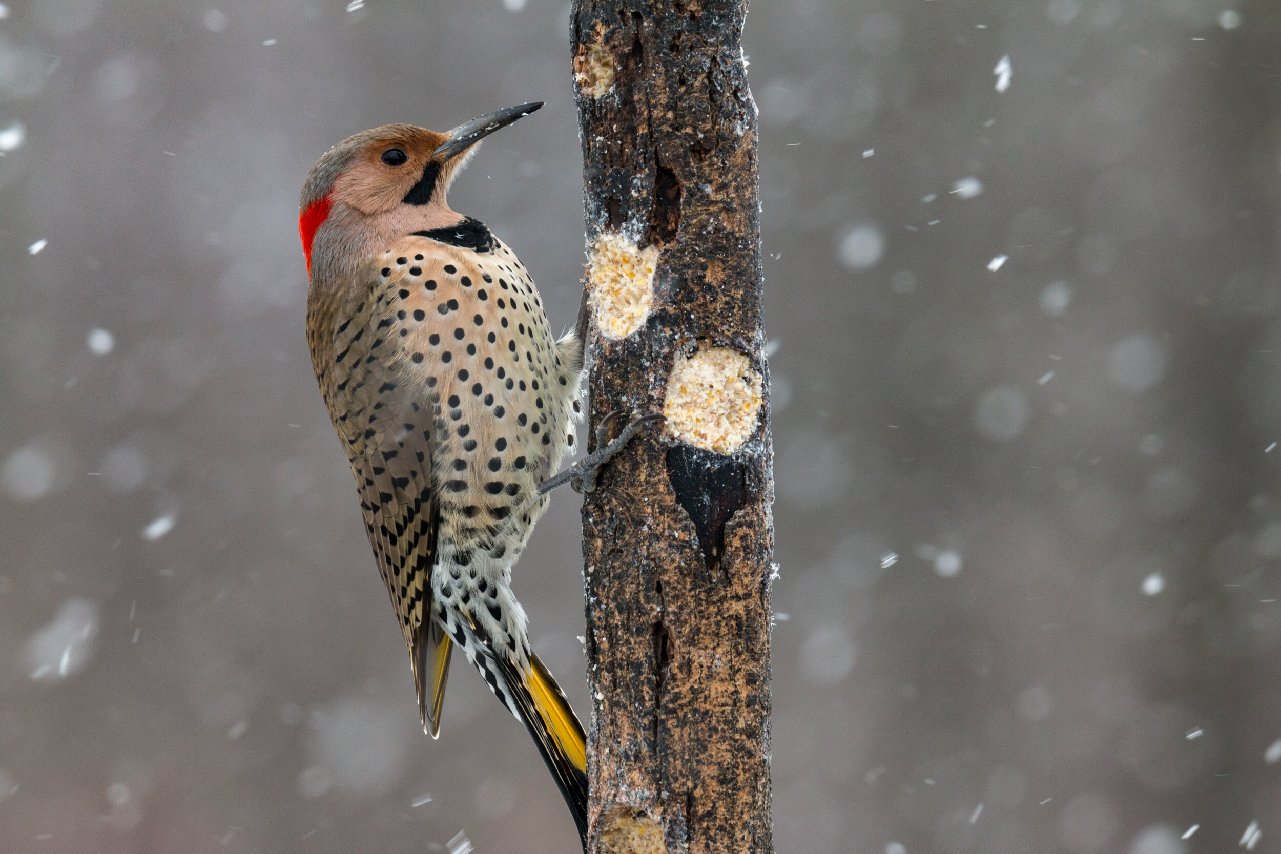 IMG_0142 LR1-LR1.jpg