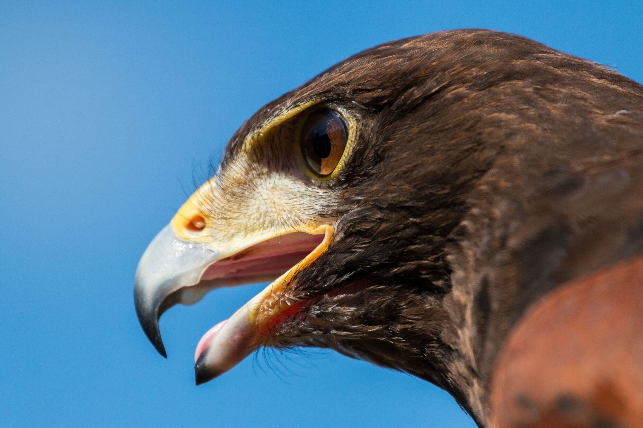 IMG_4113 LR1-LR1.jpg