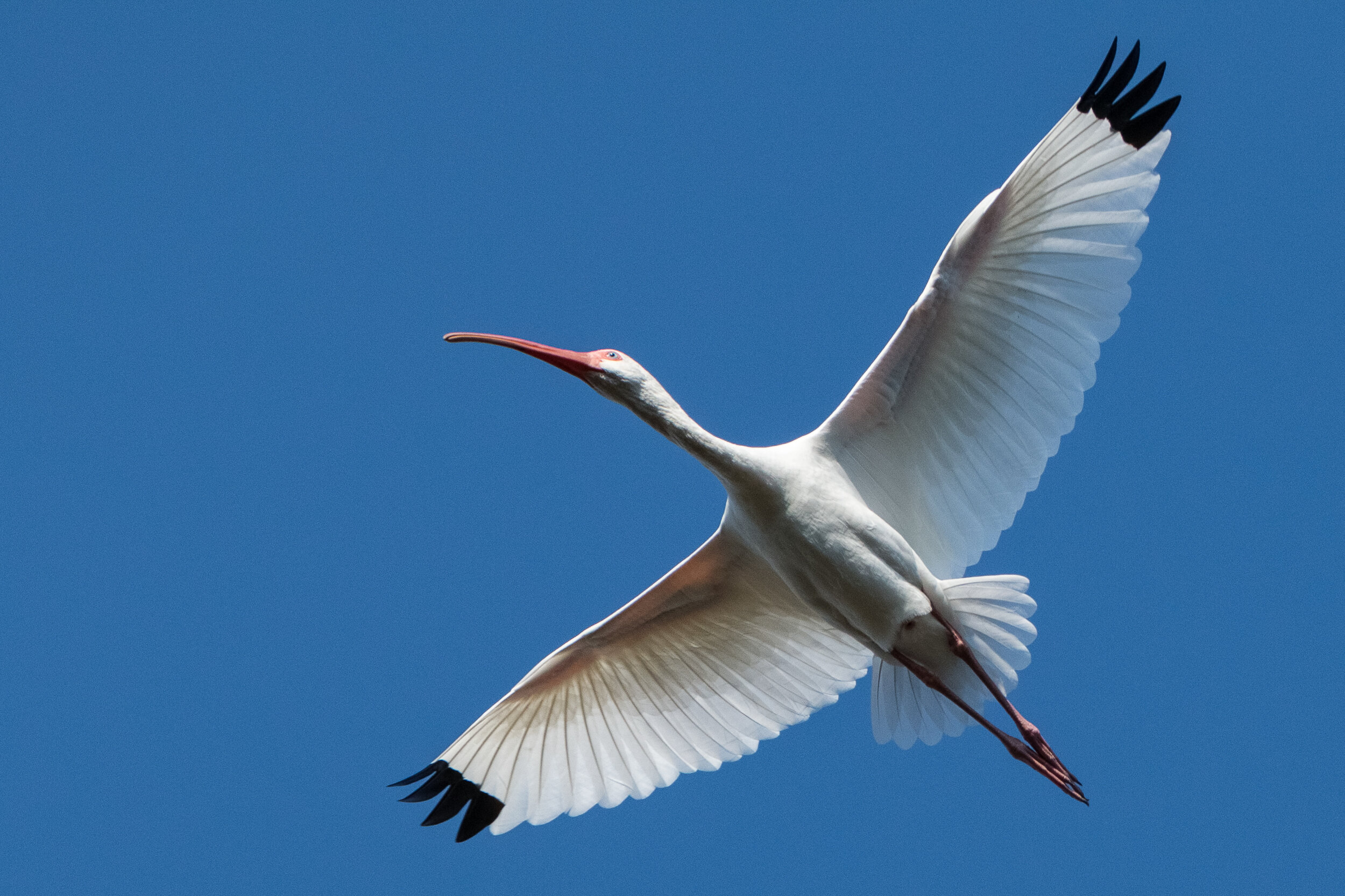 IMG_8948 LR1-LR1.jpg