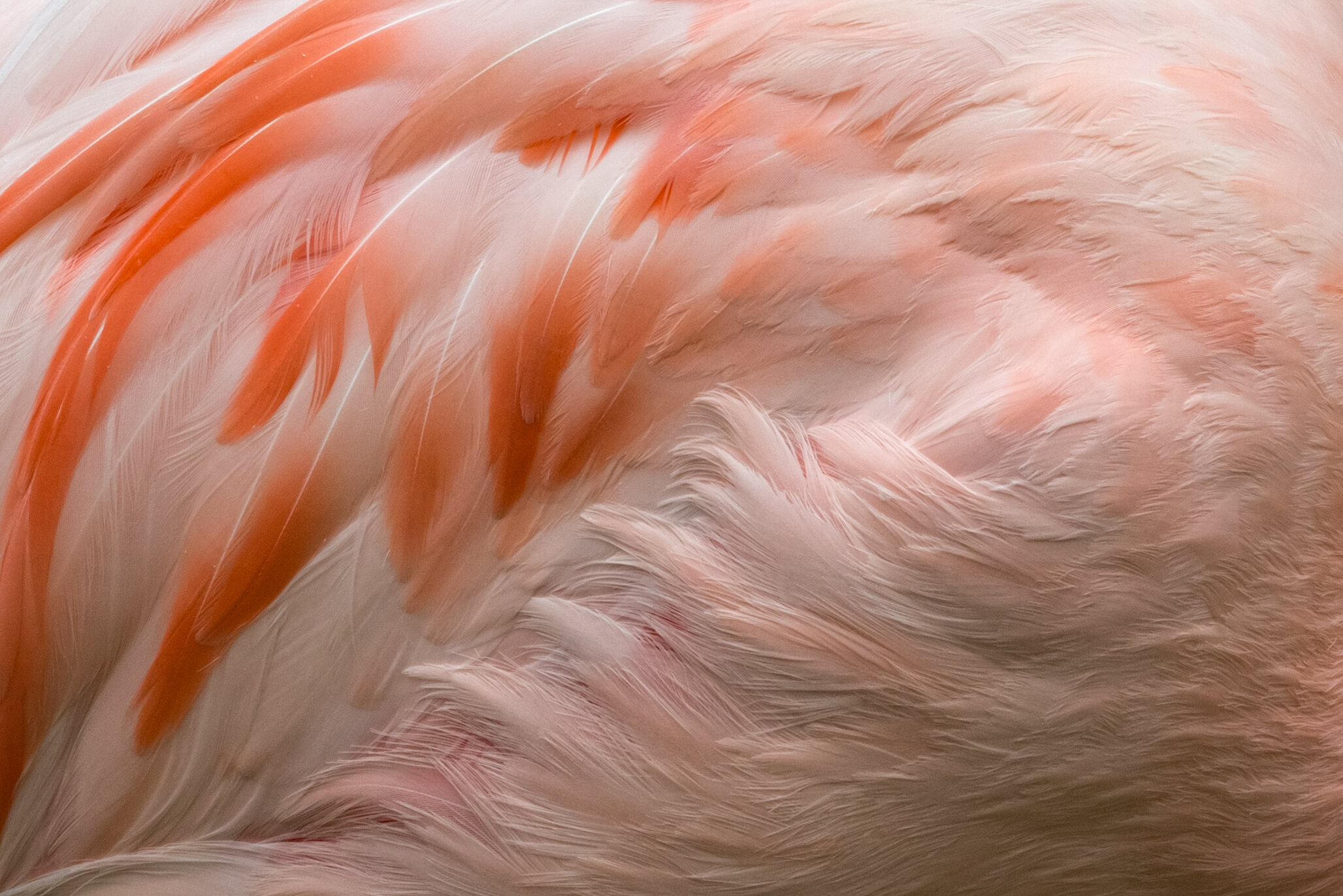 IMG_9483 LR1-LR1.jpg