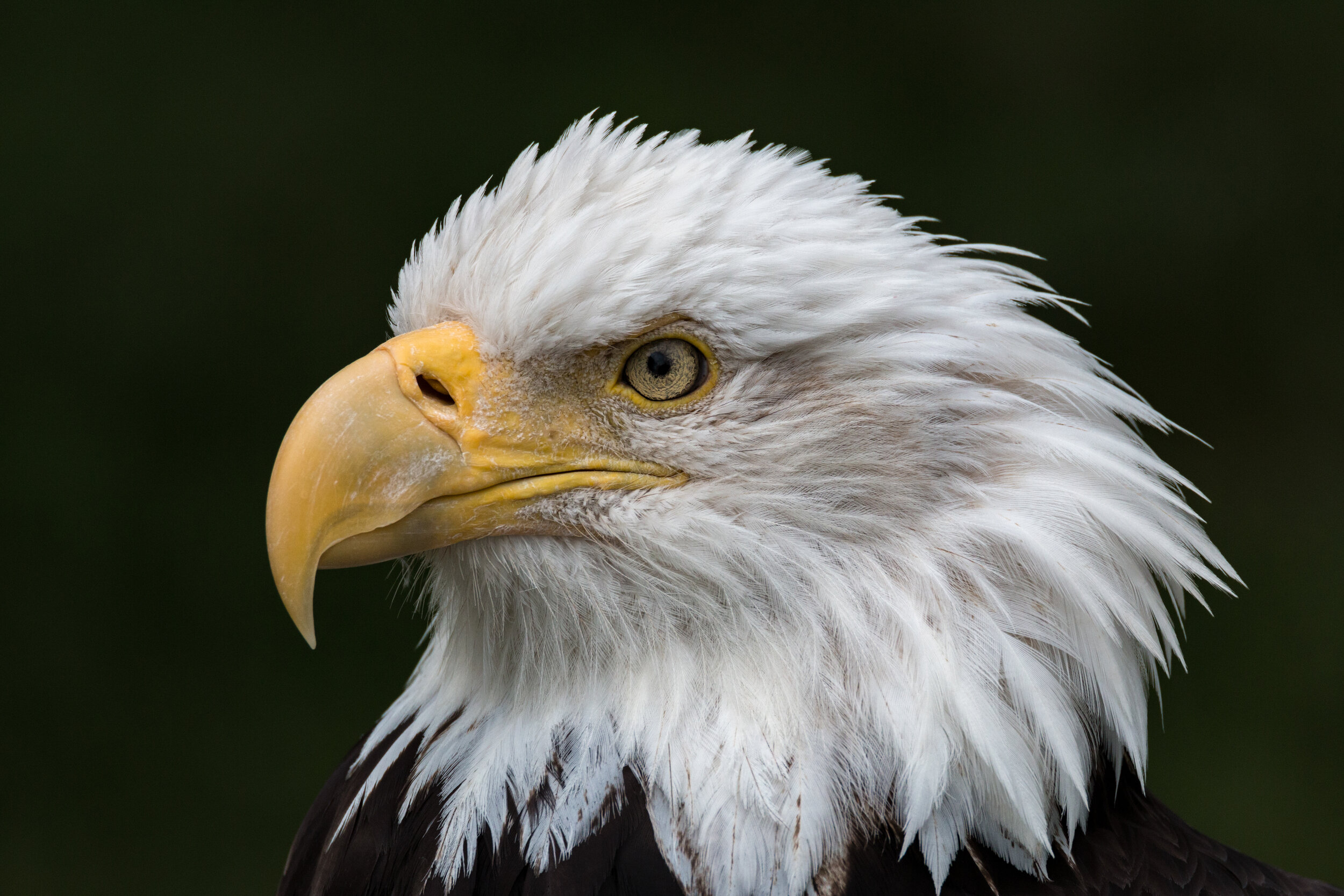 IMG_9418 LR1-LR1.jpg