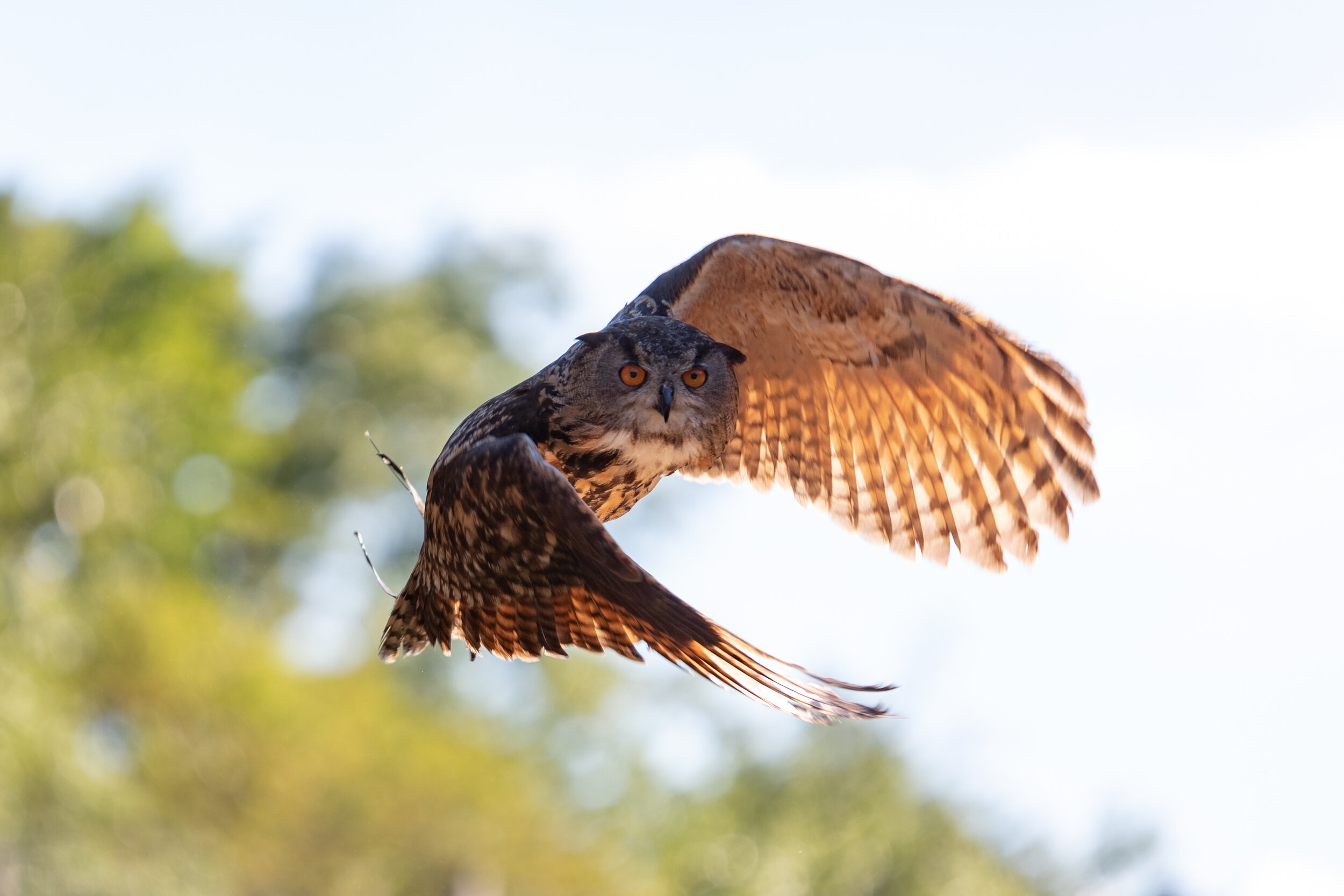 6M3A7153-LR1-LR1.jpg