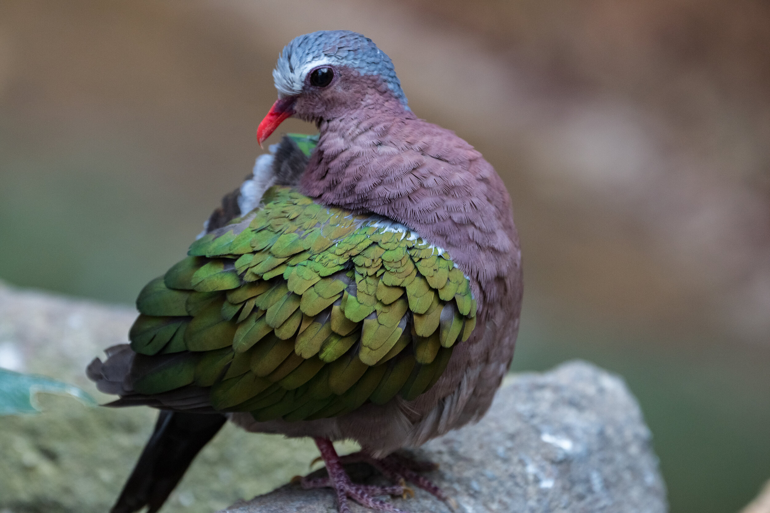 IMG_3198 LR1-LR1.jpg