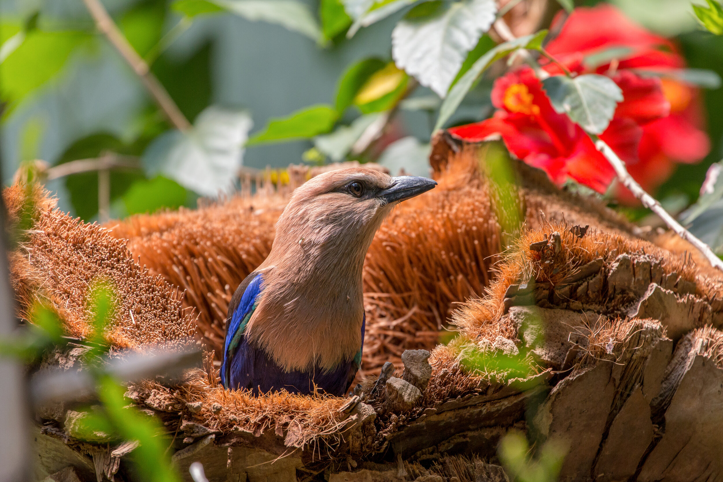 IMG_8335 LR1-LR1.jpg